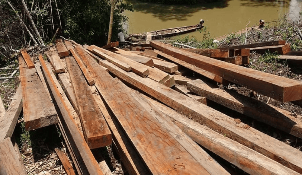 Incautan 40 mil pies tablares de madera ilegal en Ucayali