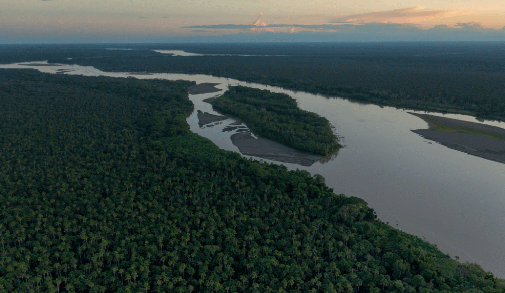 Alemania donará millones de euros para proteger ecosistemas