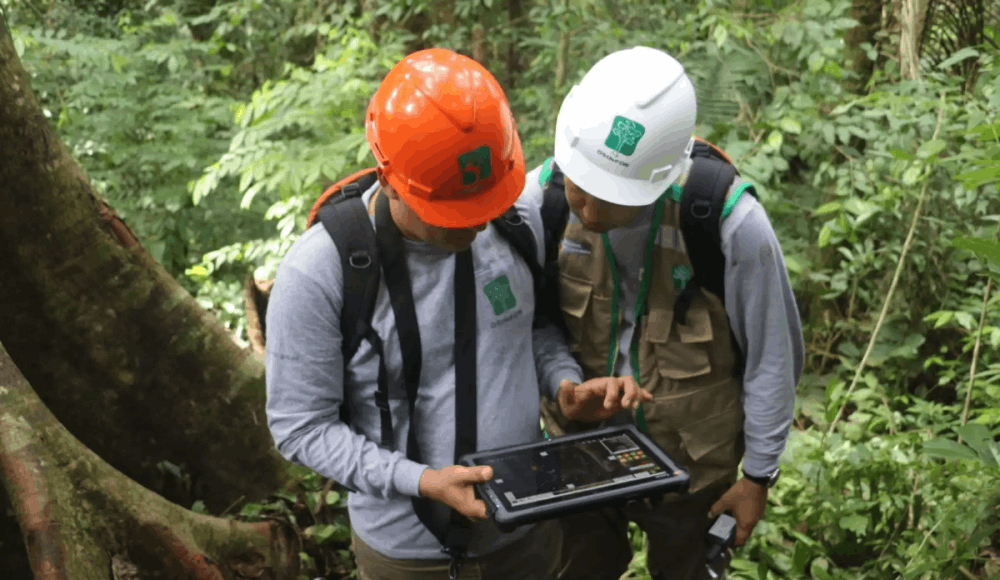 Herramientas tecnológicas protegerán el bosque seco en Piura