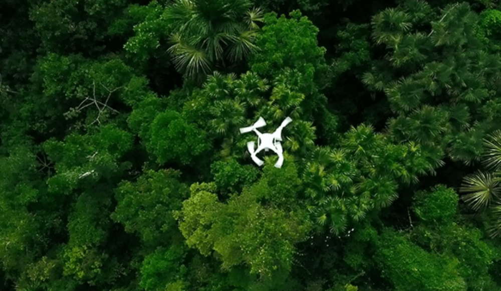Inteligencia artificial y drones protegerán la Amazonía peruana