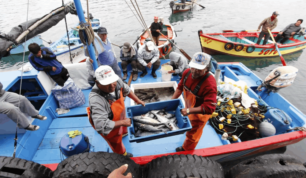 Sanipes fortalece la pesca artesanal en la región Arequipa
