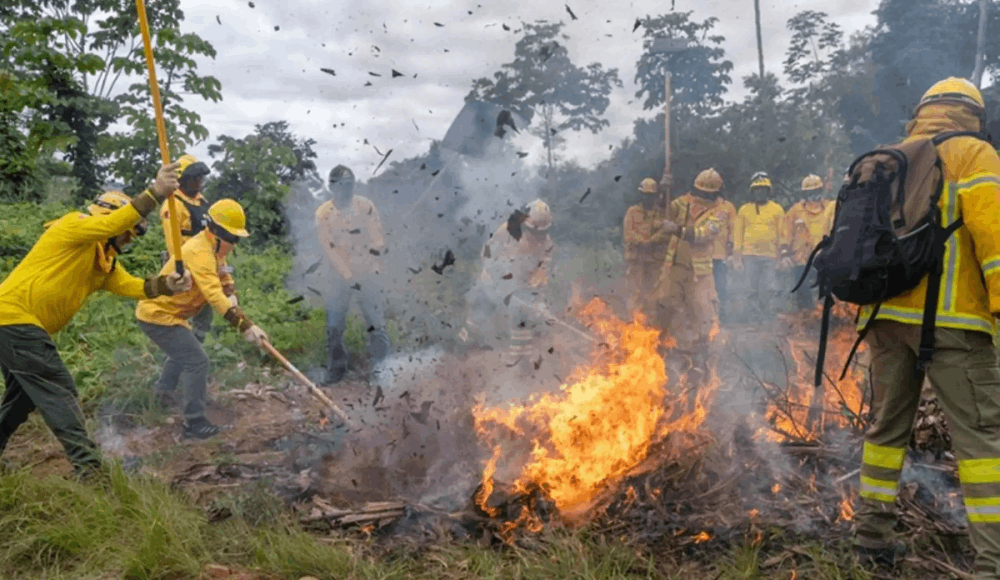 Minam fortalece prevención de incendios forestales en regiones