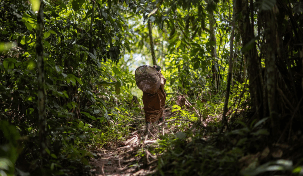 Encuentro regional en Lima buscará articular financiamiento a gran escala para la conservación de la Amazonía