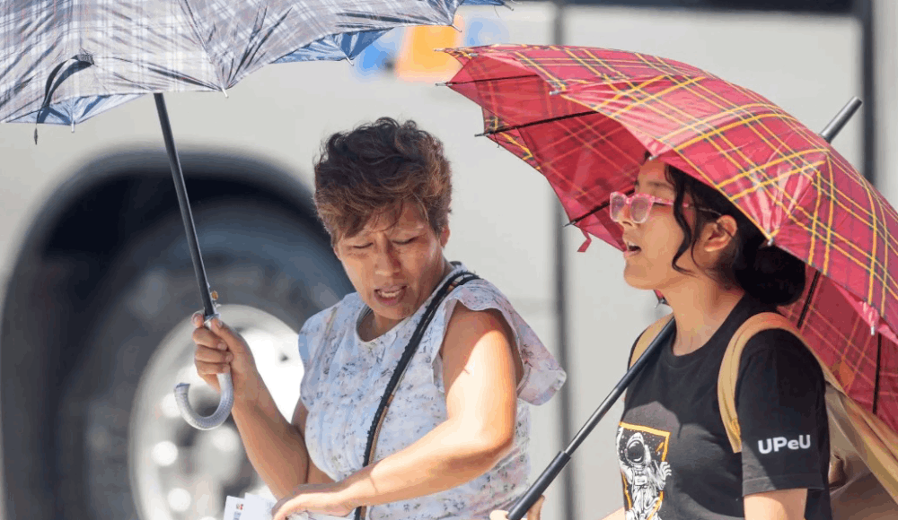 Invierno más cálido en Piura: récord en más de 50 años