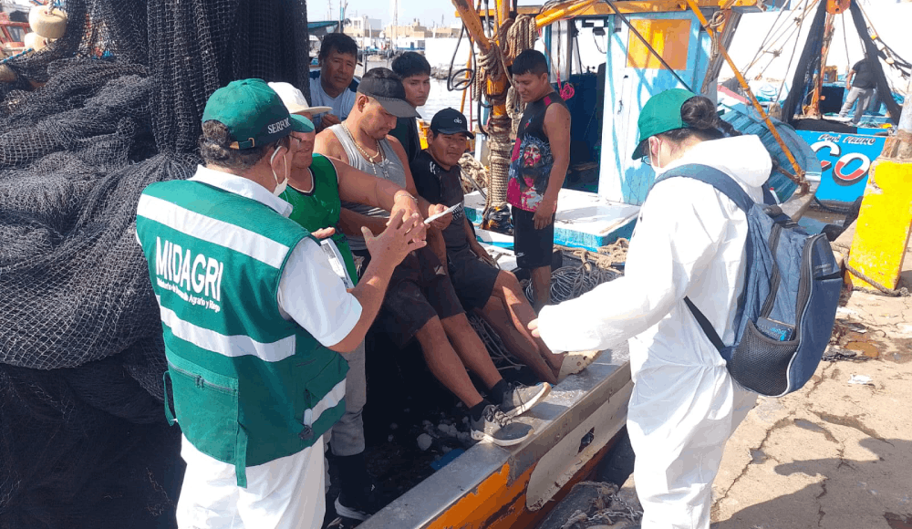 El Niño Costero: buscan proteger fauna marina en Perú