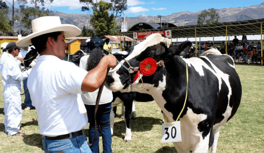 Fongal 2026 impulsa la ganadería y el desarrollo de Cajamarca