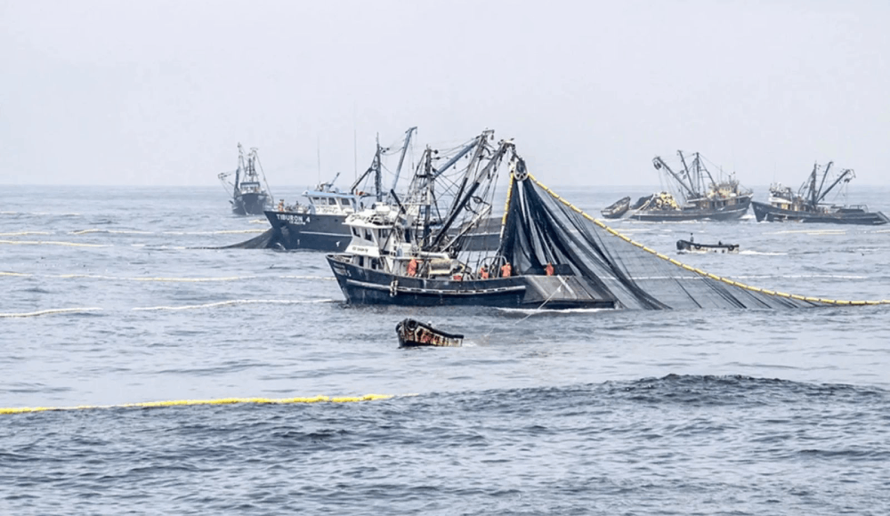 Perú pierde más de S/ 1200 millones al año por pesca ilegal mientras herramientas satelitales clave siguen fuera del alcance de fiscalías y regiones