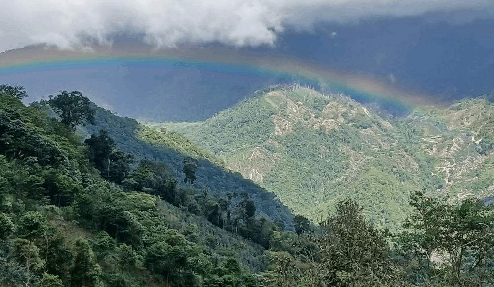 Bosque Tijae–Río Nieva protegerá agua y biodiversidad amazónica