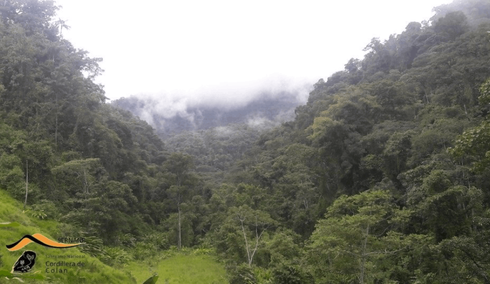 Cordillera de Colán tendrá nuevo Plan Maestro hasta 2031