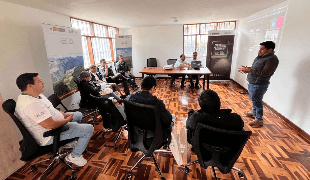 Potencial forestal: SERFOR avanza con mapas regionales
