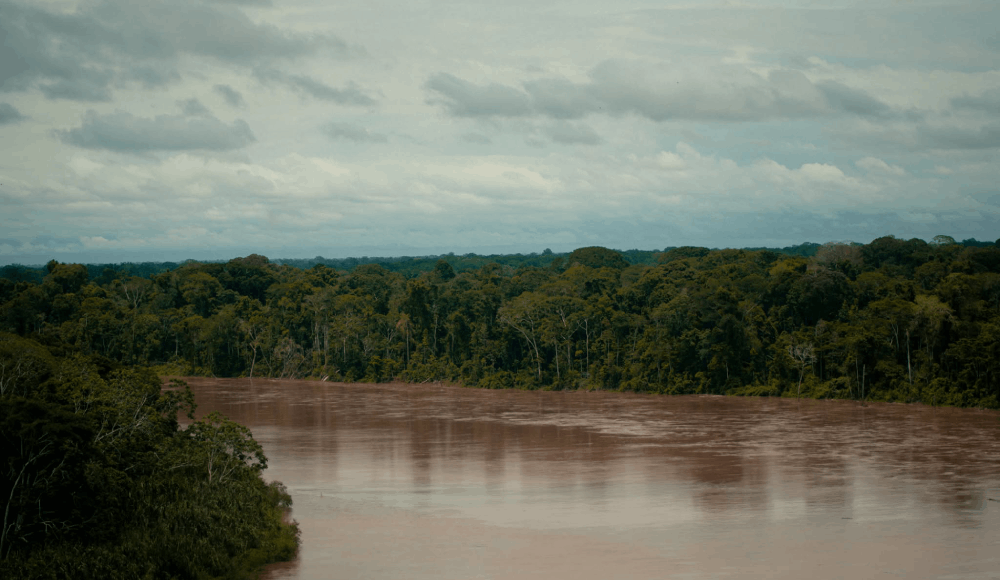 Minam reconoce nueva área de conservación en Junín