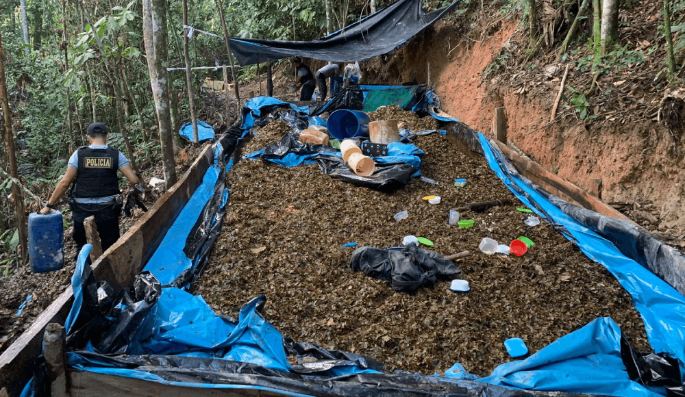 Huánuco: destruyen laboratorio de PBC con 2 toneladas de coca