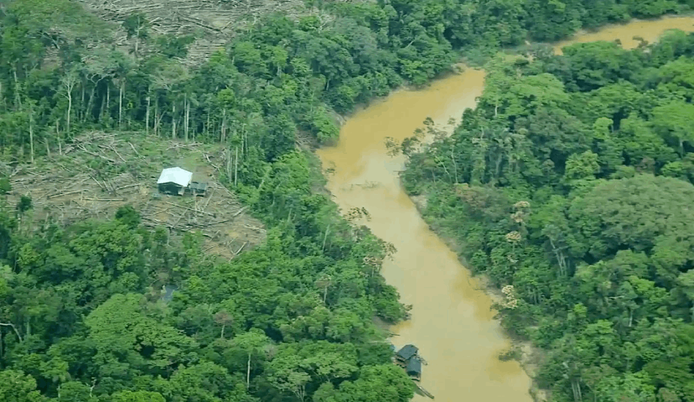 Crisis y oportunidades en la Amazonía frente al reto económico e institucional de frenar la deforestación