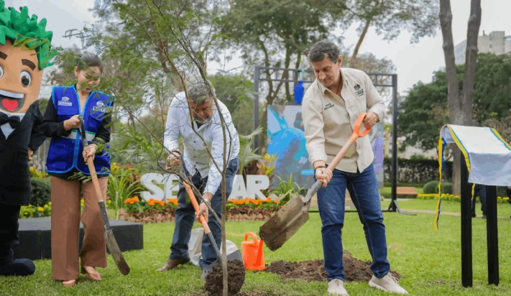 Serpar alcanza un millón de árboles y amplía áreas verdes en Lima