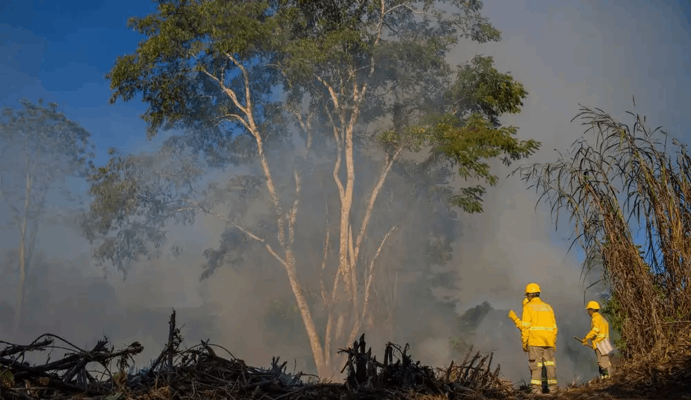 Incendios forestales: central asháninka usará satélite para evitarlos