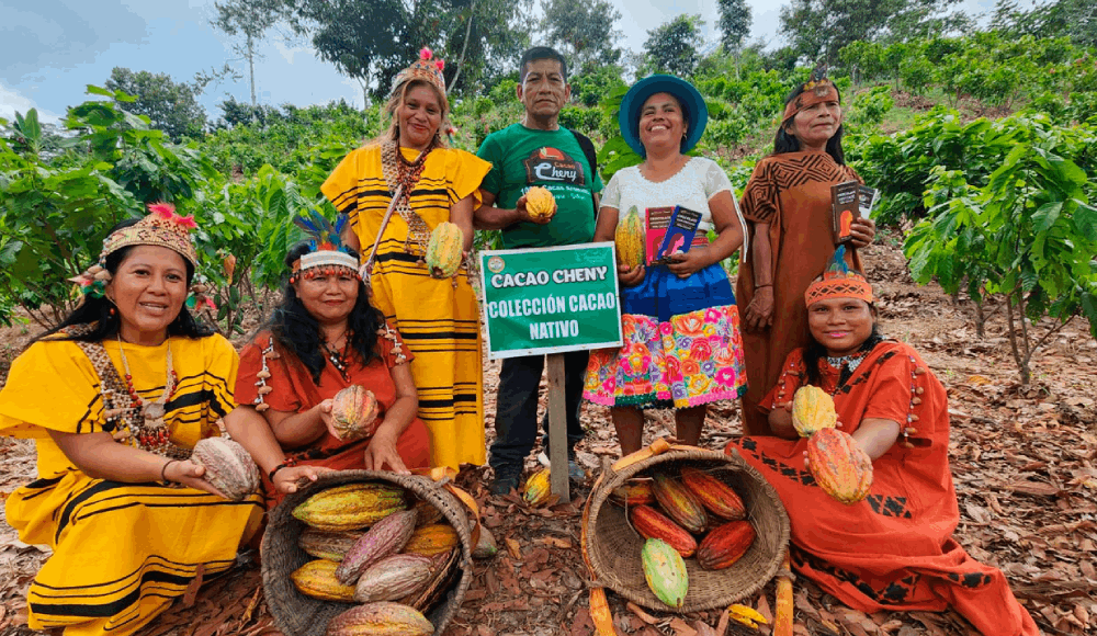 Asháninkas de Junín innovan con cacao, pijuayo y miel