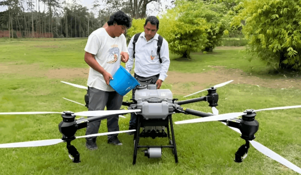 Bosque seco en Piura: restaurarán 15,000 hectáreas con drones