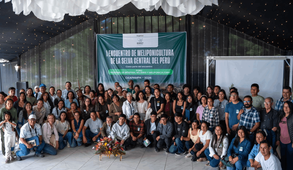 Oxapampa se consolida como epicentro de la meliponicultura en el Perú rumbo al III Congreso Nacional 2027