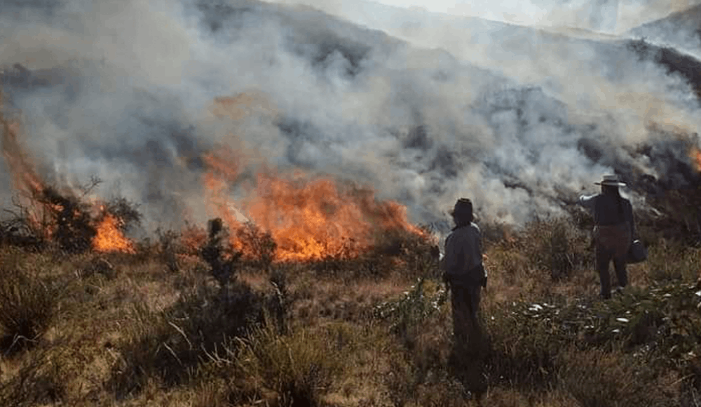 Quemas agrícolas elevan riesgo de incendios forestales en Perú