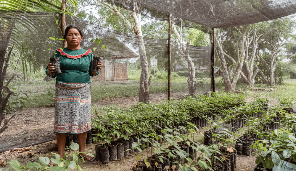 Minam reconoce a comunidades por proteger ecosistemas