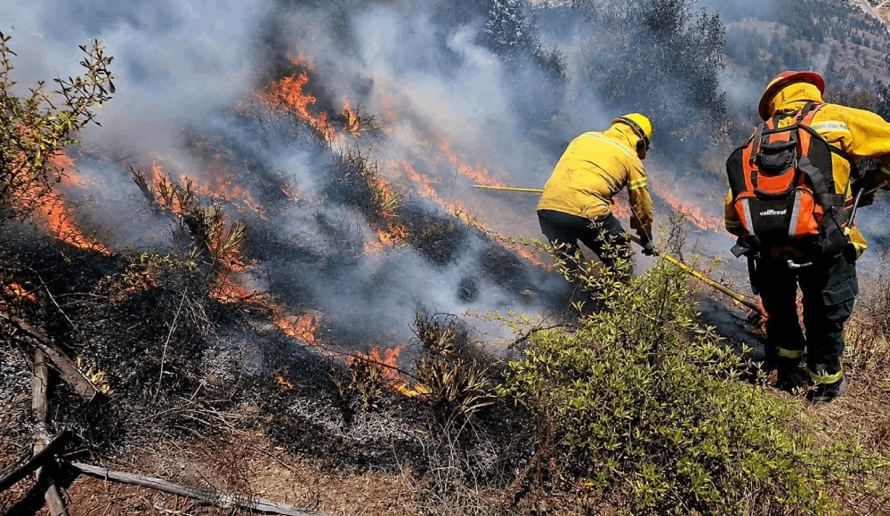 Cusco: tres incendios forestales devastan Calca y La Convención