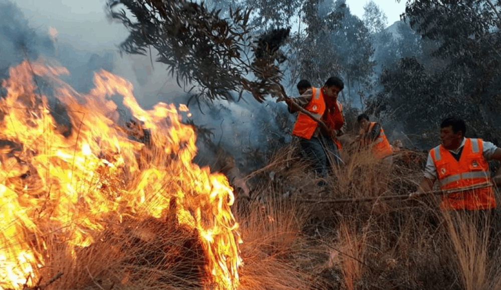 Áncash registra 224 incendios forestales y supera cifra de 2025