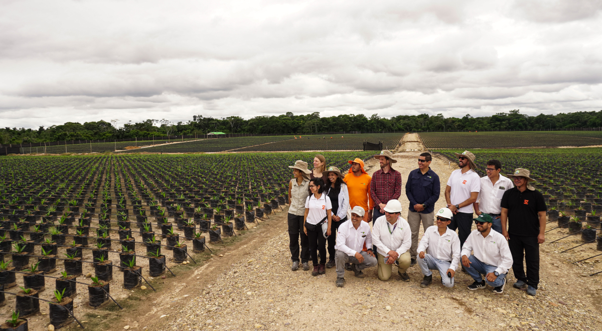 Cacao y palma en Pucallpa: cómo Paisaje Clima Perú contribuye a una producción más sostenible