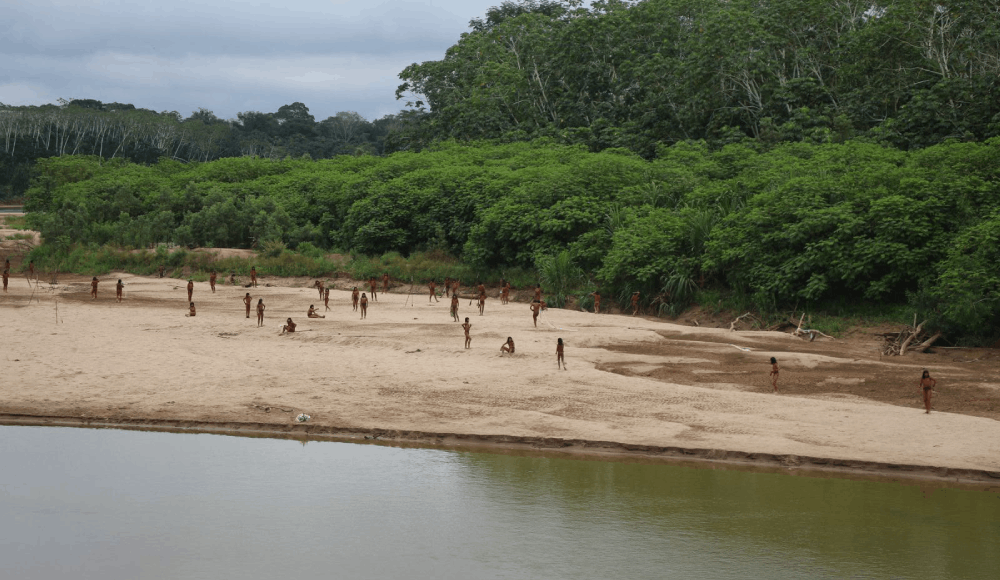 Amazonía: el Estado frena la creación de reservas indígenas y deja desprotegidos a los pueblos en aislamiento